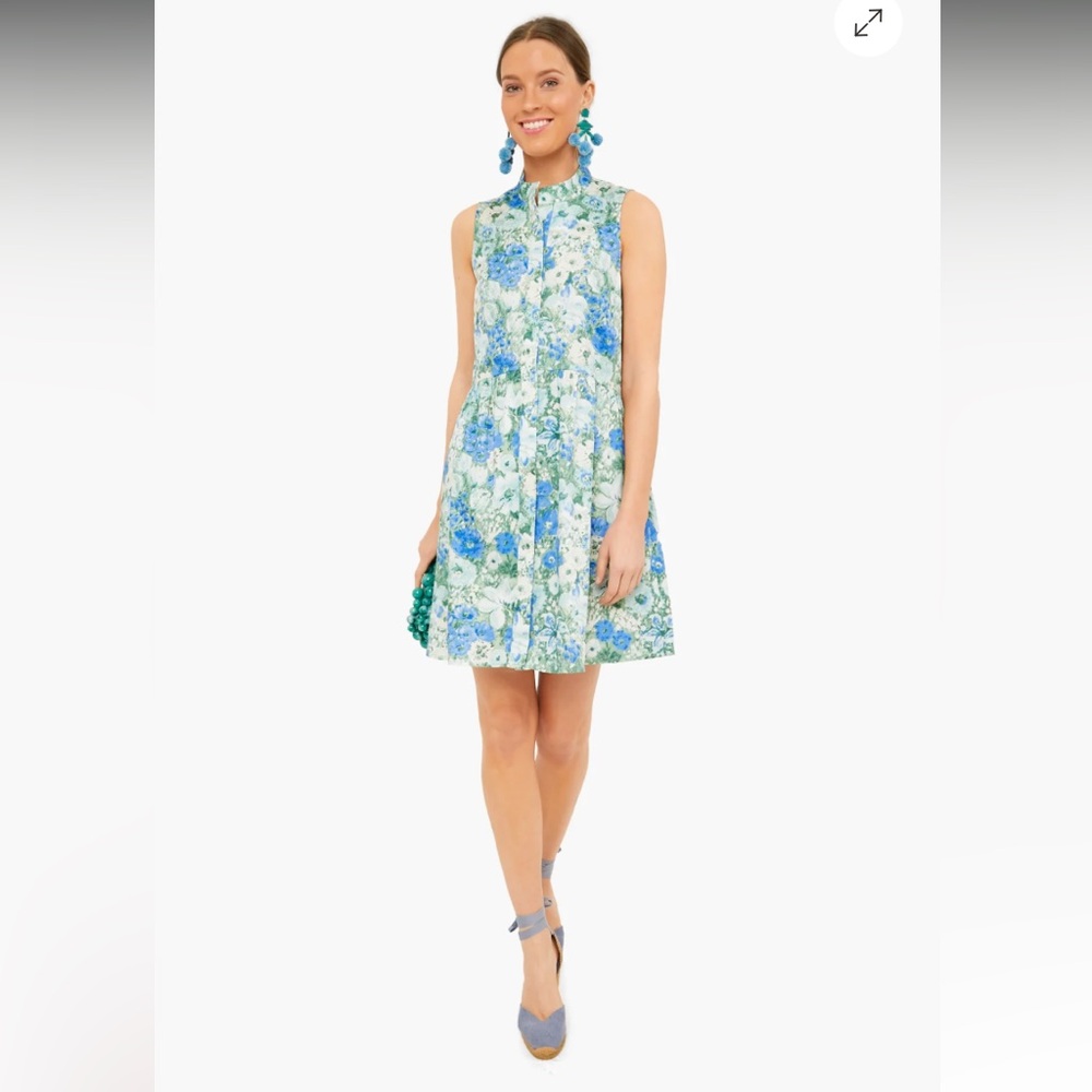 Tuckernuck Jardin de Fleur Sleeveless Royal Shirt Dress, Medium